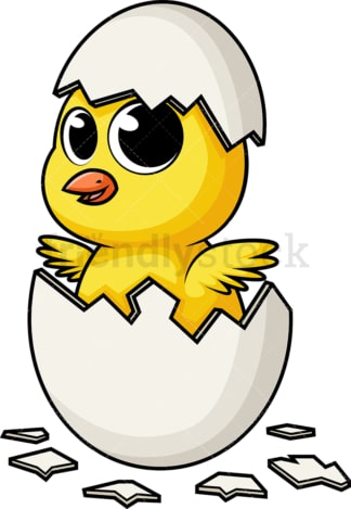 复活节小鸡从蛋壳里孵出来。PNG - JPG和矢量EPS(无限扩展)。