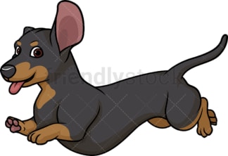 黑棕色腊肠犬奔跑。PNG - JPG和矢量EPS(无限可扩展)。