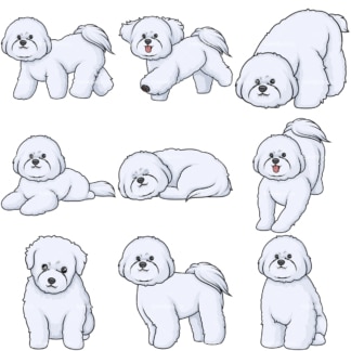 卡通卷毛比雄犬的狗。PNG - JPG和无限可缩放矢量EPS -白色或透明背景。