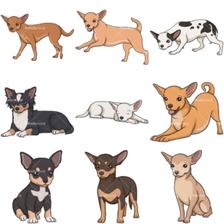 Cartoon-Chihuahua-Hunde。PNG - JPG und unendlich skalierbare Vektor EPS - auf weißem oder transparentem Hintergrund。