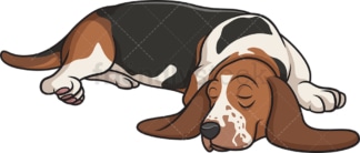 巴吉度猎犬在睡觉。PNG - JPG和矢量EPS(无限可扩展)。